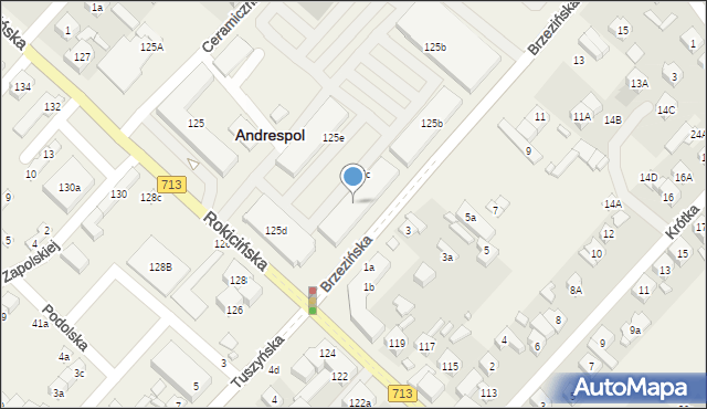 Andrespol, Rokicińska, 125d, mapa Andrespol