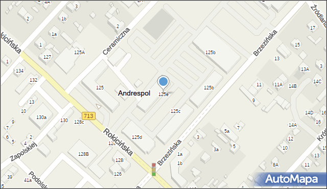 Andrespol, Rokicińska, 125e, mapa Andrespol