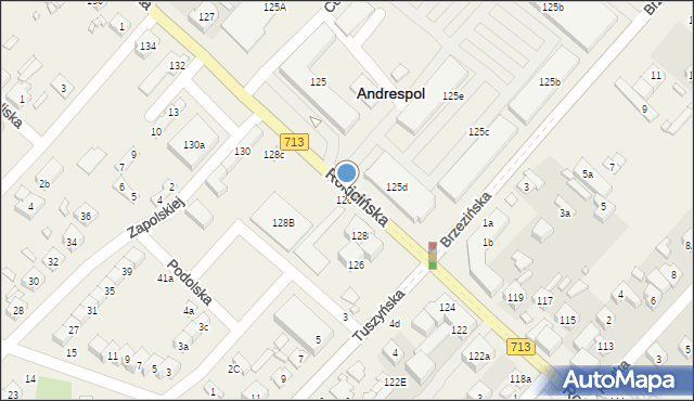 Andrespol, Rokicińska, 126a, mapa Andrespol