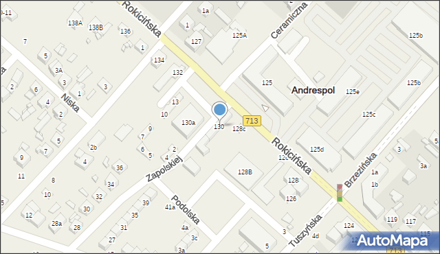 Andrespol, Rokicińska, 130, mapa Andrespol