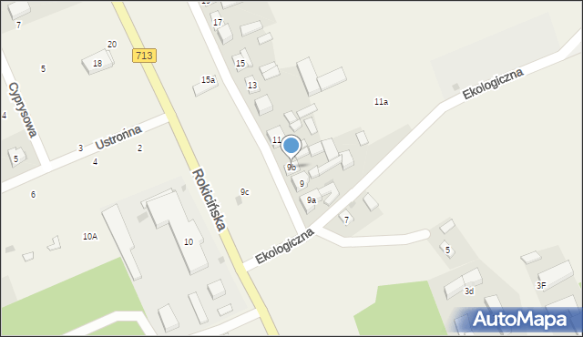 Kraszew, Rokicińska, 9b, mapa Kraszew