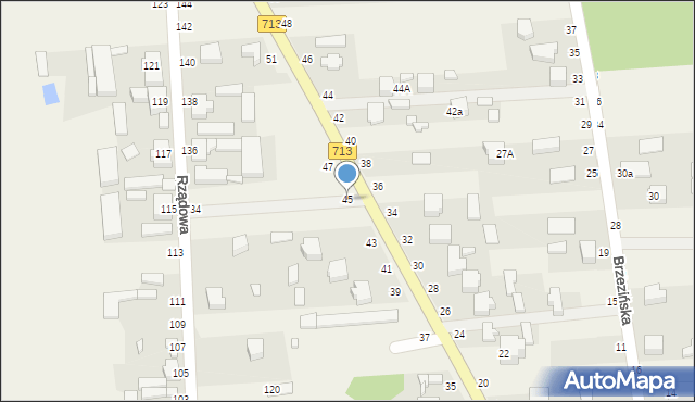 Kurowice, Rokicińska, 45, mapa Kurowice