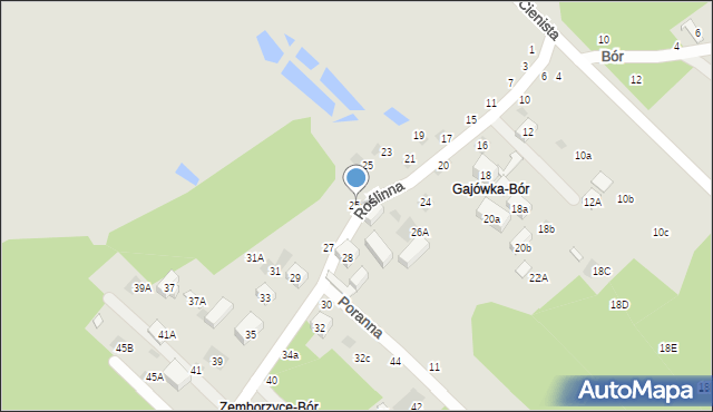 Lublin, Roślinna, 25a, mapa Lublina