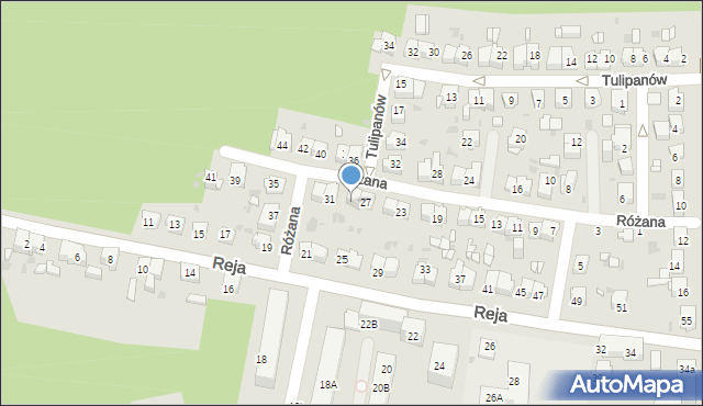 Mysłowice, Różana, 29, mapa Mysłowice