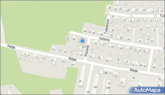Mysłowice, Różana, 37, mapa Mysłowice