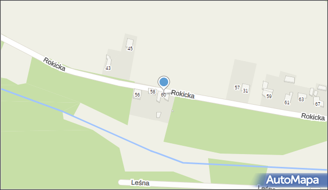 Rokitno Szlacheckie, Rokicka, 60, mapa Rokitno Szlacheckie