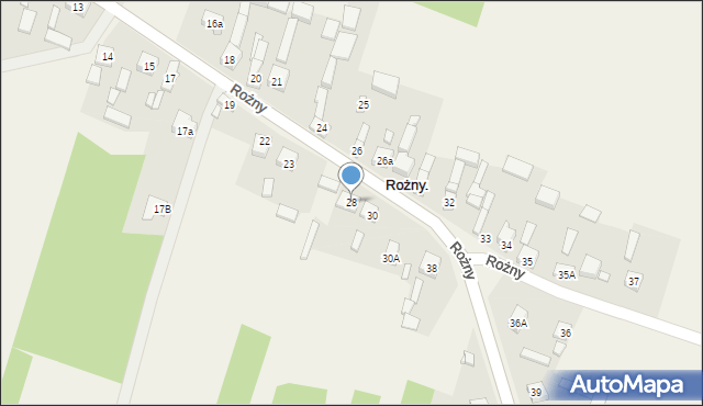 Rożny, Rożny, 28, mapa Rożny