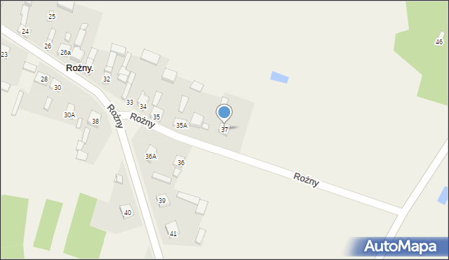 Rożny, Rożny, 37, mapa Rożny