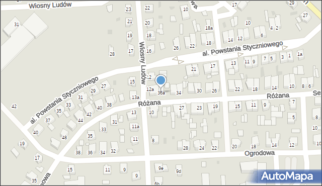Szamotuły, Różana, 36a, mapa Szamotuły