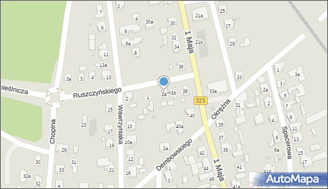 Leszno, Ruszczyńskiego Adama, 1a, mapa Leszno