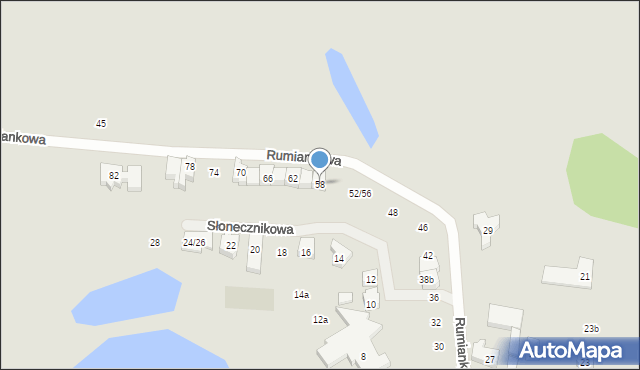 Poznań, Rumiankowa, 58, mapa Poznania