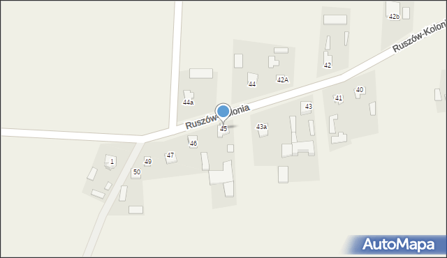 Ruszów-Kolonia, Ruszów-Kolonia, 45, mapa Ruszów-Kolonia