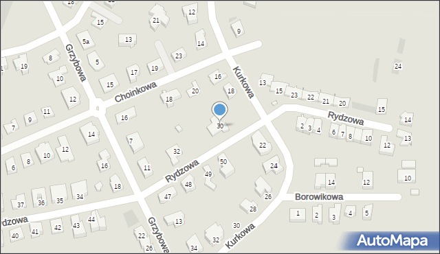 Leszno, Rydzowa, 30, mapa Leszno