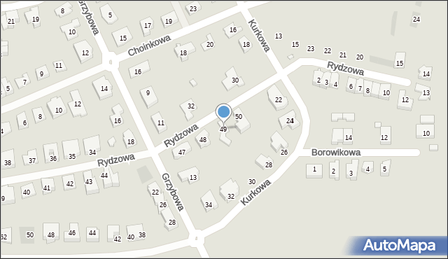 Leszno, Rydzowa, 49, mapa Leszno