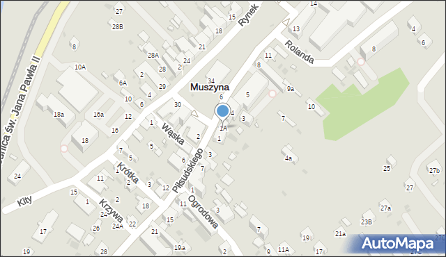 Muszyna, Rynek, 1A, mapa Muszyna