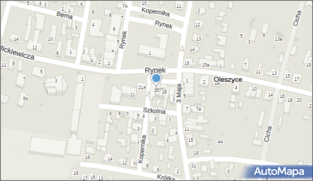 Oleszyce, Rynek, 20, mapa Oleszyce