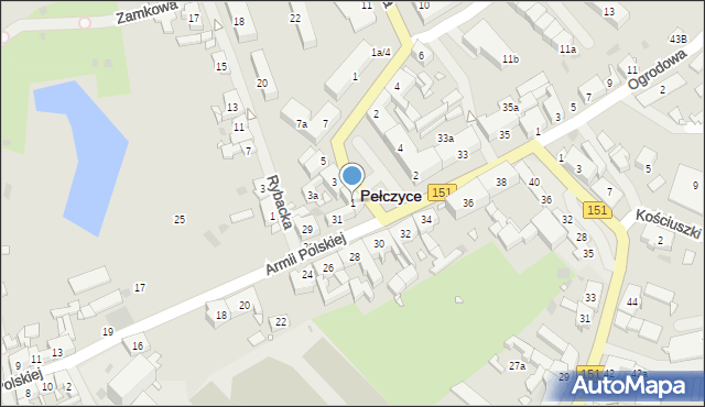 Pełczyce, Rynek Bursztynowy, 1, mapa Pełczyce