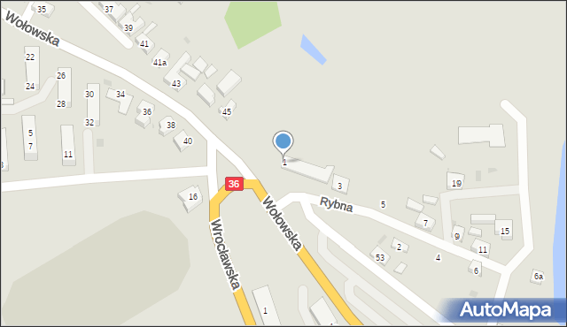 Ścinawa, Rybna, 1, mapa Ścinawa