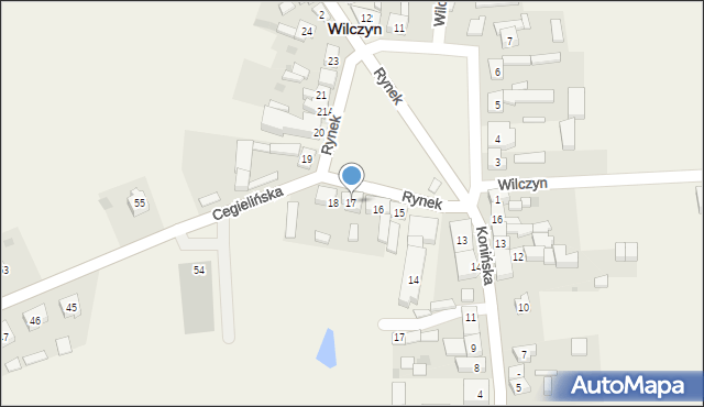 Wilczyn, Rynek, 17, mapa Wilczyn