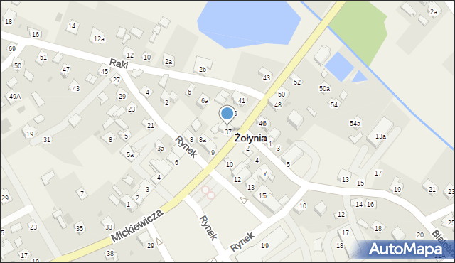 Żołynia, Rynek, 37, mapa Żołynia