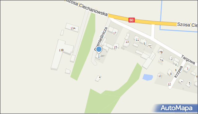 Gołymin-Ośrodek, Rzemieślnicza, 1, mapa Gołymin-Ośrodek
