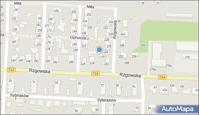 Pabianice, Rzgowska, 220, mapa Pabianic