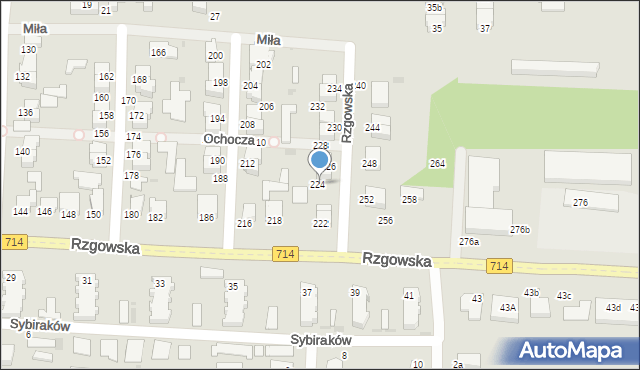 Pabianice, Rzgowska, 224, mapa Pabianic