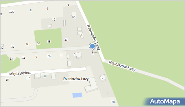 Rzeniszów, Rzeniszów-Łazy, 1, mapa Rzeniszów