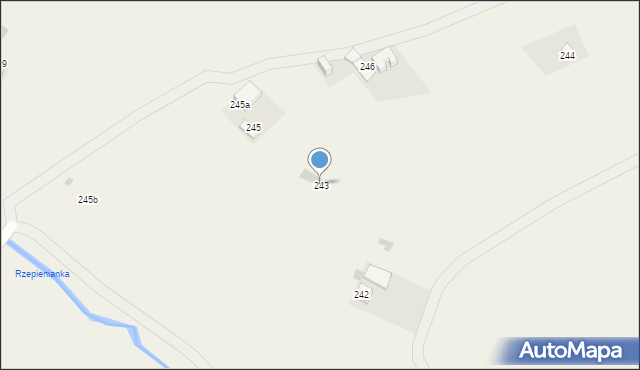 Rzepiennik Strzyżewski, Rzepiennik Strzyżewski, 243, mapa Rzepiennik Strzyżewski