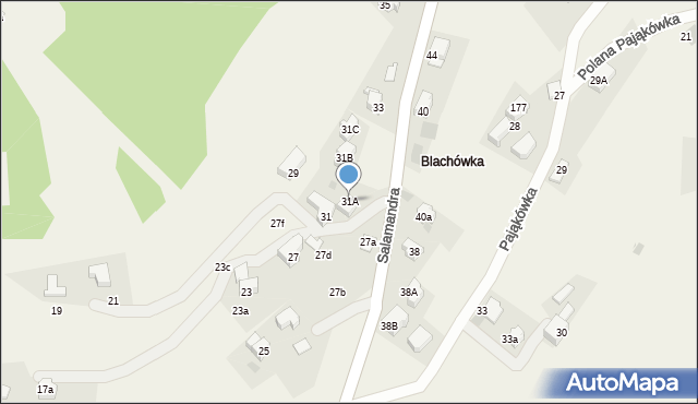 Kościelisko, Salamandra, 31A, mapa Kościelisko