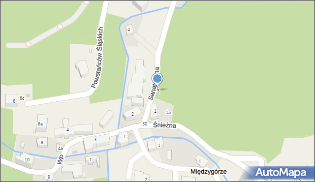 Międzygórze, Sanatoryjna, 3, mapa Międzygórze