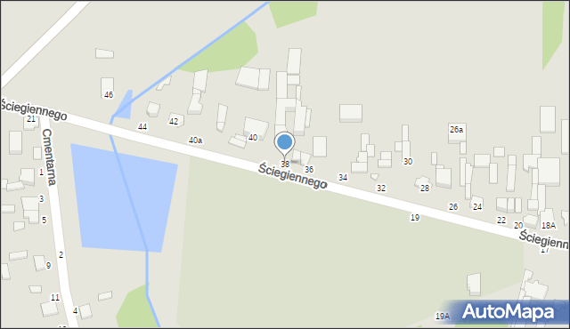 Tuszyn, Ściegiennego, ks., 38, mapa Tuszyn