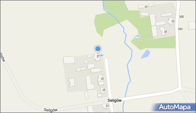 Seligów, Seligów, 37, mapa Seligów