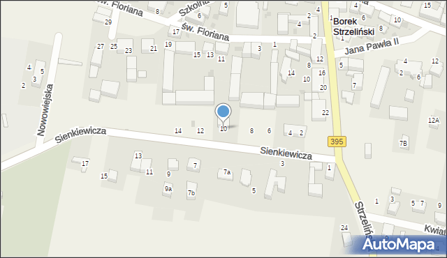 Borek Strzeliński, Sienkiewicza Henryka, 10, mapa Borek Strzeliński
