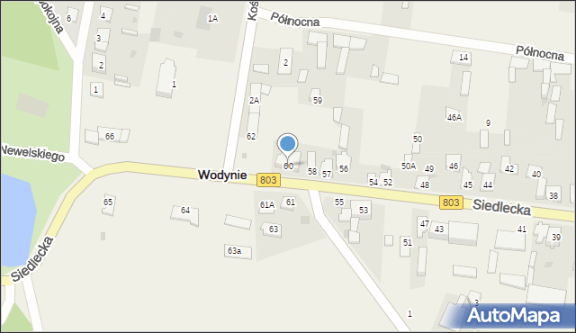 Wodynie, Siedlecka, 60, mapa Wodynie