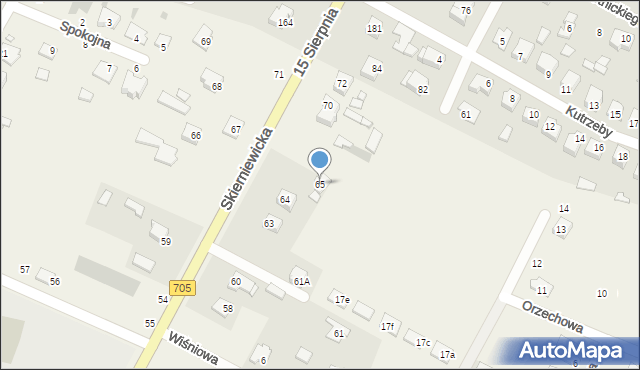 Kozłów Biskupi, Skierniewicka, 65, mapa Kozłów Biskupi