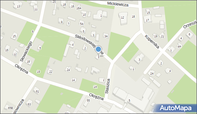 Międzyborów, Skłodowskiej-Curie Marii, 1, mapa Międzyborów