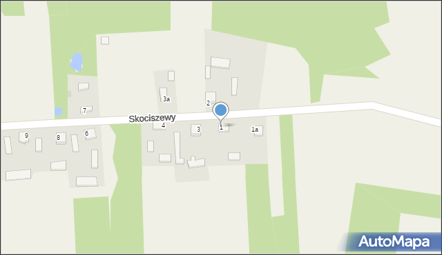 Skociszewy, Skociszewy, 1, mapa Skociszewy