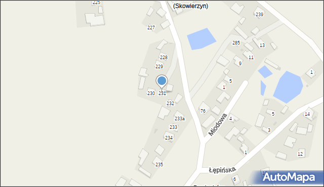 Skowierzyn, Skowierzyn, 231, mapa Skowierzyn