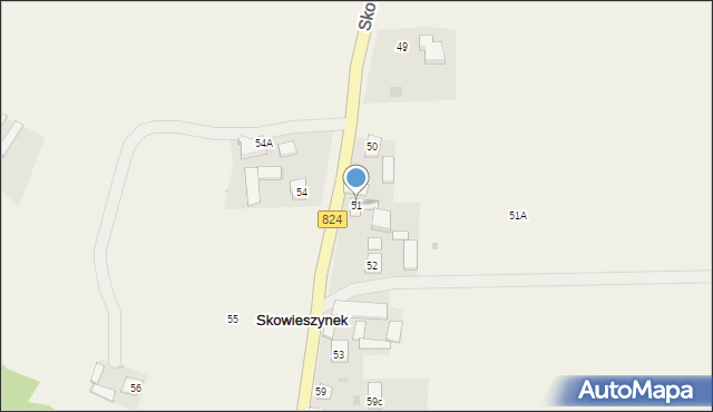 Skowieszynek, Skowieszynek, 51, mapa Skowieszynek