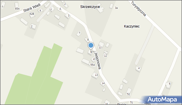 Skrzelczyce, Skrzelczyce, 55, mapa Skrzelczyce