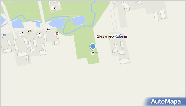 Skrzyniec-Kolonia, Skrzyniec-Kolonia, 37, mapa Skrzyniec-Kolonia