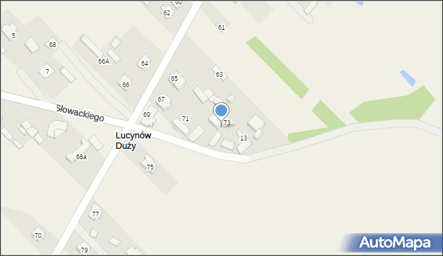 Lucynów Duży, Słowackiego Juliusza, 11, mapa Lucynów Duży