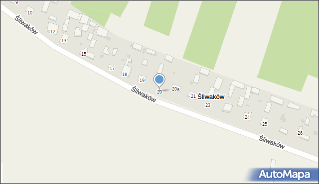 Śliwaków, Śliwaków, 20, mapa Śliwaków