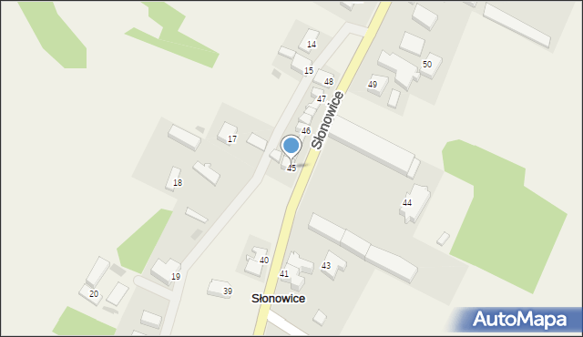 Słonowice, Słonowice, 45, mapa Słonowice