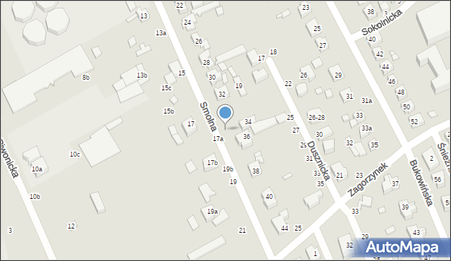 Kalisz, Smolna, 34a, mapa Kalisza
