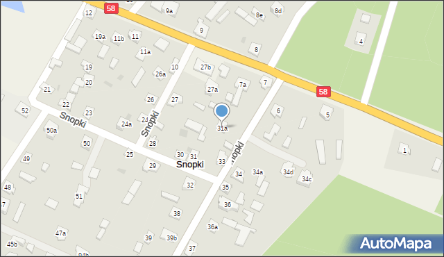 Snopki, Snopki, 31a, mapa Snopki