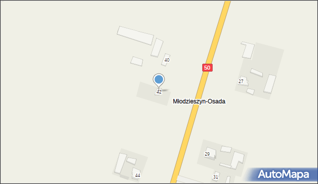 Młodzieszyn, Sochaczewska, 42, mapa Młodzieszyn