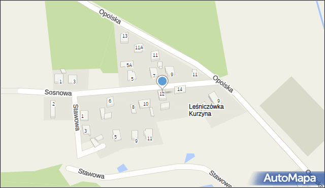 Rudziniec, Sosnowa, 12, mapa Rudziniec