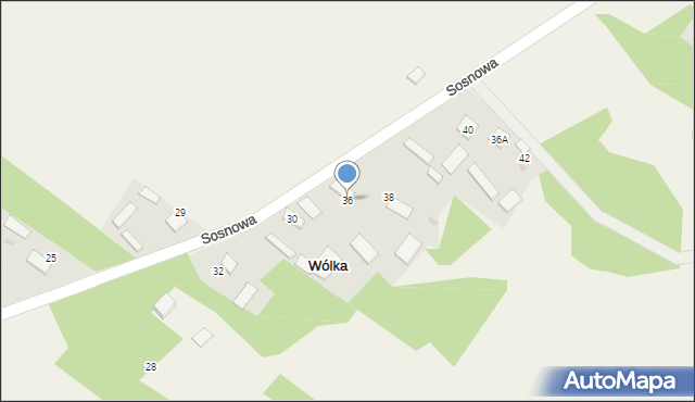 Wólka, Sosnowa, 36, mapa Wólka